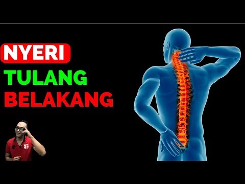 Spinal Cord Injury - Cedera Saraf Tulang Belakang | First Physio. 