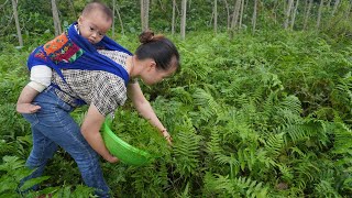 A single mother went to the forest to pick up herbs to sell and paste sausages to feed her children