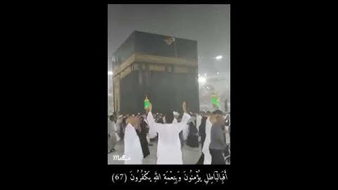 سورة العنكبوت آية (67) بصوت عبدالرحمن مسعد
