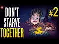 Don't Starve Together - Кооп выживание неголодайка #2 (стрим)