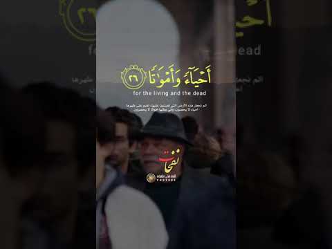 صوته سيدهشك أبحر بخيالك مع هذة التلاوة العطرة للقارئ عمر محجوب ماتيسر من سورة المرسلات