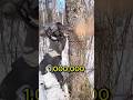 ل ي ه يطلب آلاف عشان شجرة واحدة 
