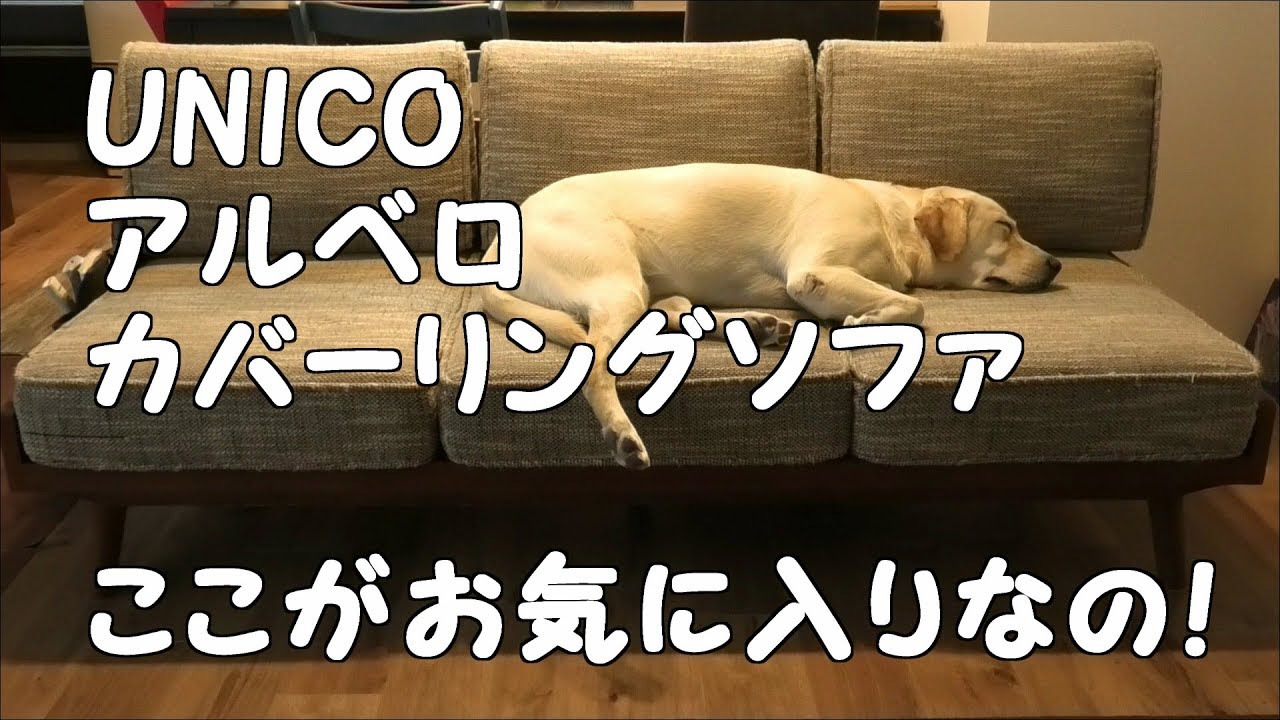 犬 ラブラドール マルチカバー ソファカバー ヴィンテージラグ 180x133