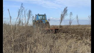 Зимняя обработка почвы прицепным лущильником ЛДГ- 3 🚜 Лущение травы в пояс трактором ЮМЗ-6 Зимой