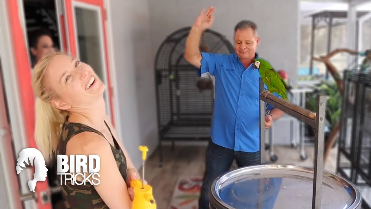 Severe Macaw Fears Spray Bottle (How to Train Him to LIKE it!)