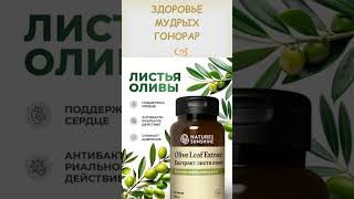 Листья оливы против самых страшных убийц ХХI века #shorts #зож