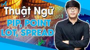 Bí Mật Forex #2 | Thuật Ngữ Pip, Point, Lot, Spread Là Gì? Cách Tính Và Cách Sử Dụng - mForex