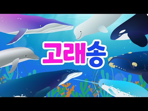 [고래송] 🎶모든 고래 노래로 만나기ㅣ바다 포유류 동물 동요ㅣ고래의 종류ㅣ돌고래 ㅣ바다의왕 by 너울나비