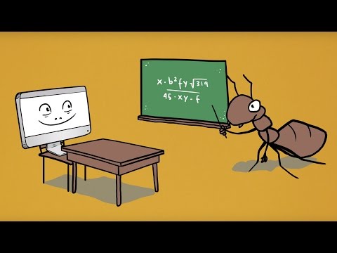 What is the Ant Colony Optimization Algorithm?