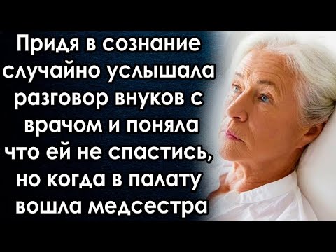 Видео: Парализованная собака спасла эвтаназию в последнюю секунду после того, как ветеринар обнаружил тик