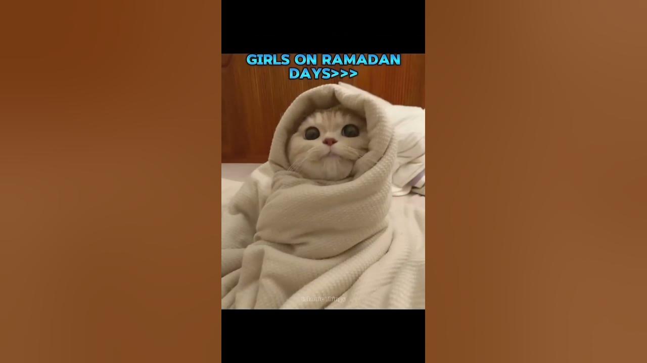 ramadan vs eid
