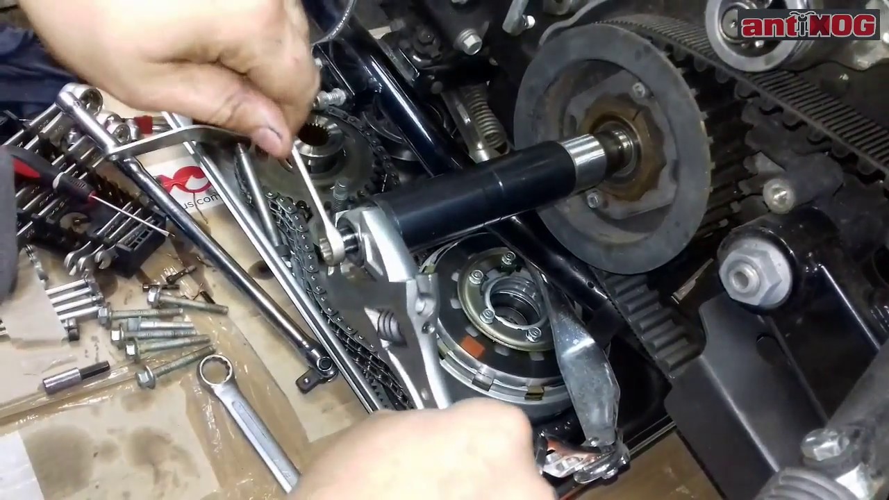 harley inner primary