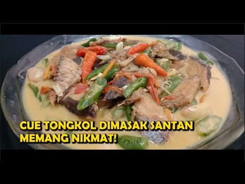 Cue Tongkol Santan