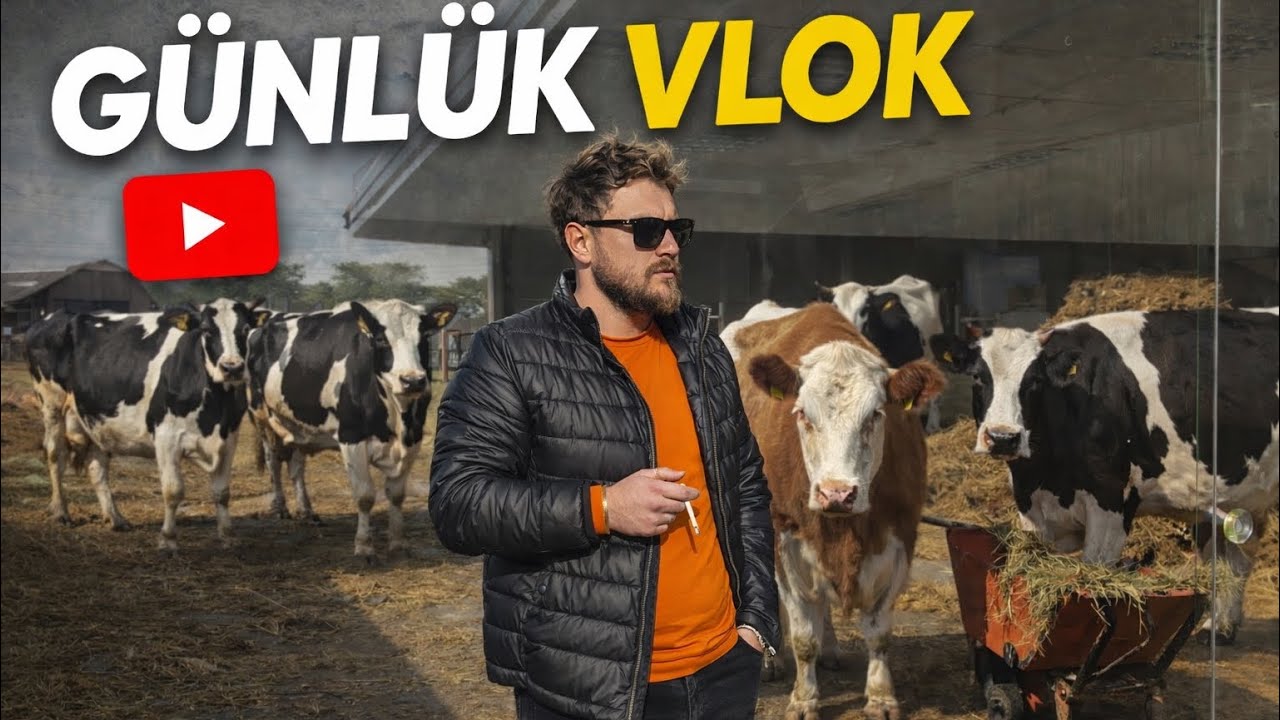 Hayvancılık benim birinci mesleğim~dipten zirveye yolculuk da bu gün neler yaptık~huzuru burda 