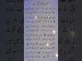 #lifeisbutadream #islamicstoriesinurduandhindi