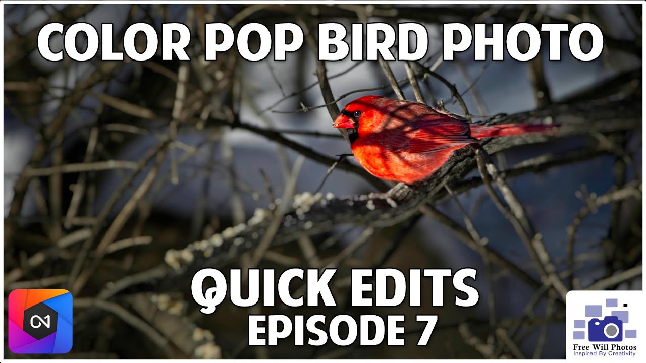 Creative color pop for all of your images