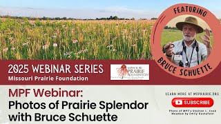 MPF Webinar: Photos of Prairie Splendor with Bruce Schuette
