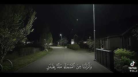 #ياسر_الدوسري #quran #allah #الله #islami #allahuakbar #قرآن #قران_كريم #الحمدلله #تلاوة_خاشعة #like