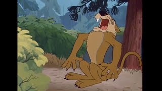 Louie The Mountain Lion Triggered Sneezes