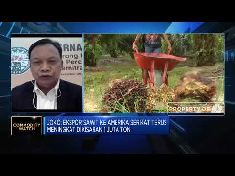 Gapki: Ekspor CPO RI ke AS Masih Berpeluang Naik di Masa Biden
