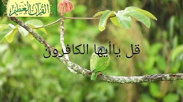 سورة الكافرون كاملة مكررة 5 مرات - الشيخ احمد العجمي