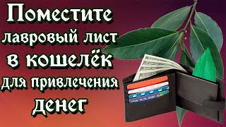 Поместите лавровый лист в кошелёк для привлечения денег