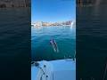 Троечникам привет #жизньвтурции #море #турция2025#школа#мерсинтурция