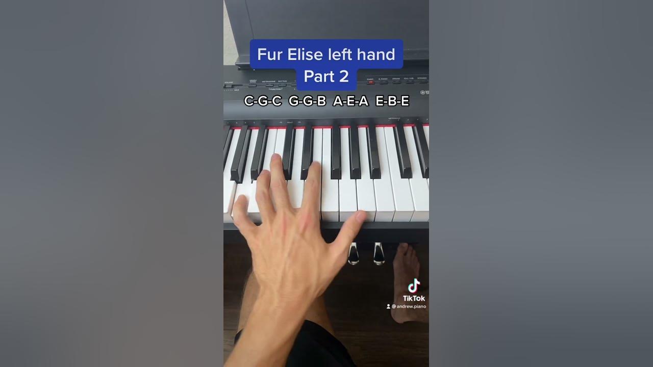 Fur Elise Left Hand easy piano tutorial (Part 2)