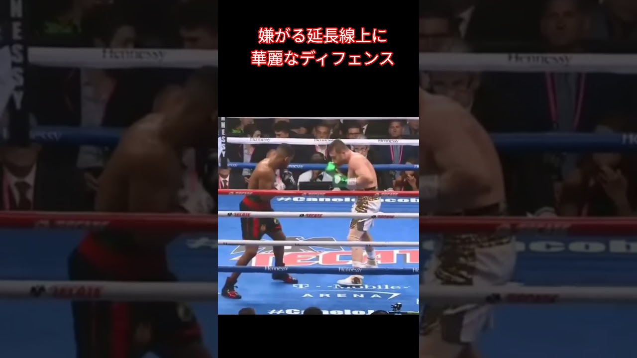 一流ボクサーのディフェンス