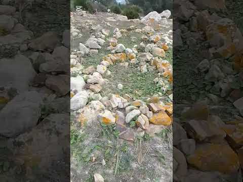 اللھم اغفر لموتانا و تجاوز عما تعلم منھم فإنهم ضيوفك وأنت أرحم الراحمين