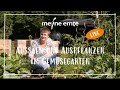 Aussäen & Auspflanzen im Gemüsegarten Ende März ☀️