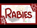 Rabies