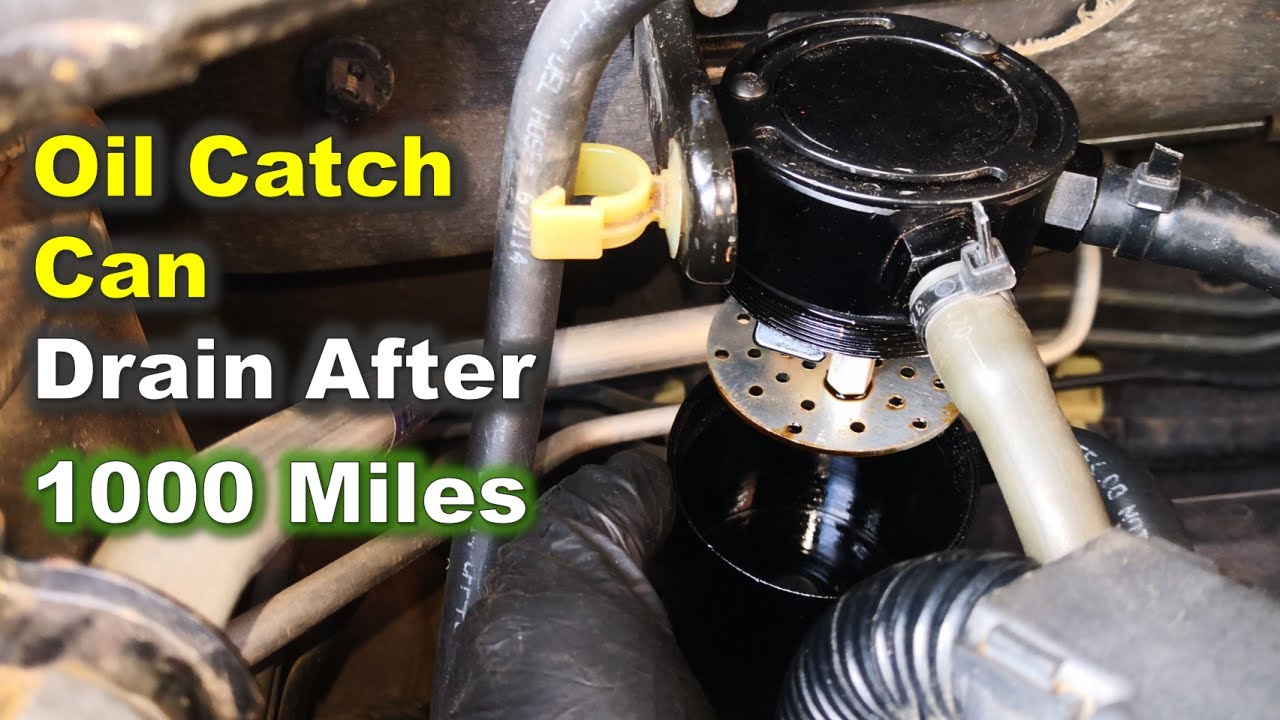 Oil Catch Can AFTER 1000 Miles! / How much oil drained? / Must-do oil catch  can service 