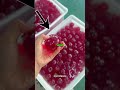 Satisfying Apples#shorts #viralshorts #satisfying