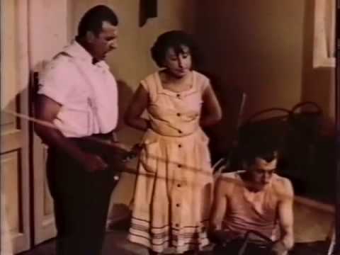 შე ვირო შენ, შე ზებრა