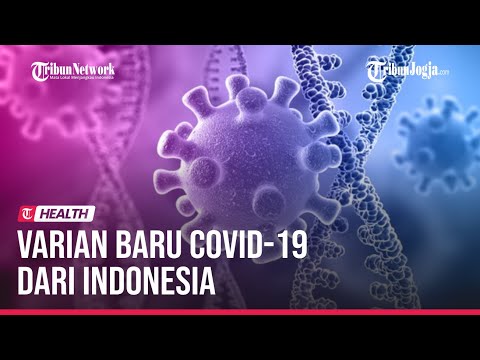 VARIAN BARU COVID 19 DARI INDONESIA, Berbeda dari Omicron dan Delta