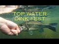 Top water bass fishing dink fest WITH 5 pounder guest appearance