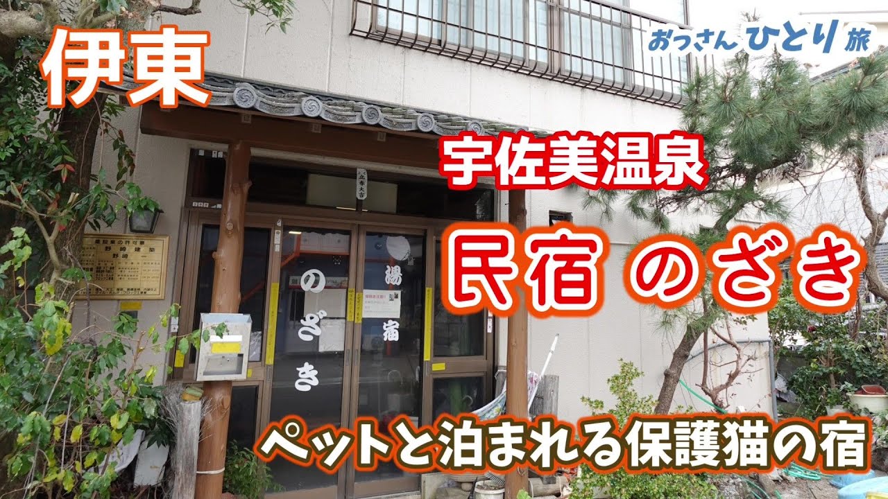 【宇佐美温泉】前から気になっていたペットも泊まれる民宿に泊まって猫と戯れうまいご飯を食べて温泉入って寝た【保護猫】