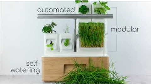 totam planter - Modular | Automated | Self-watering