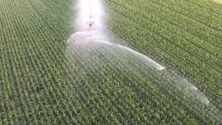 Artificial Rain on the Farm
