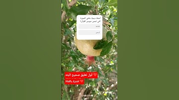 ماهي السورة التي تسمى عروس القرآن