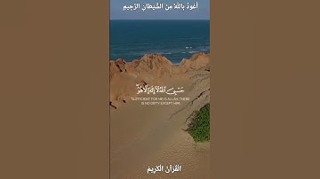 🌺القرآن الكريم 🌺ما تيسر من سورة التوبة