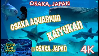 Osaka Aquarium Kaiyukan in Osaka Japan