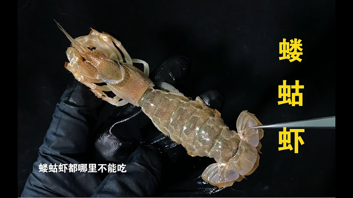 蝼蛄虾都哪里不能吃，没想到油爆连皮带腿全造了