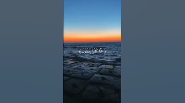 سورة الحجر 👑 فَوَرَبِّكَ لَنَسْأَلَنَّهُمْ أَجْمَعِينَ #سورة_الحجر #أجمل_صوت_في_القرآن_الكريم