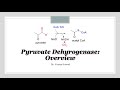 Pyruvate Dehyrogenase: Overview