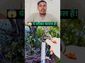 ये तरीका कमाल है 😱 #technical #youtubeshorts #reaction #trending #desijugaad #jugaad #shorts #viral