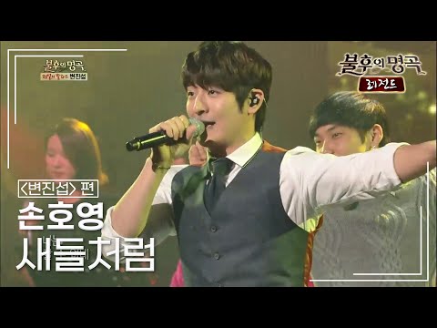 손호영(SON HO YOUNG) - 새들처럼 [불후의명곡 레전드/Immortal Songs Legend] | KBS 130309 방송