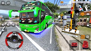 Bus Maudi MSM Fadel 24 Cortas Melewati Rel Kereta Api