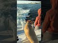 Little sunset adventure with my crew